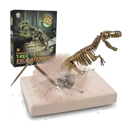 Kit Escavação de Dinossauro com Ferramentas